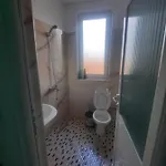 Megniar 호텔 Lushnjë